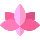 flor de loto icon