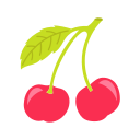 말린 씨앗 icon