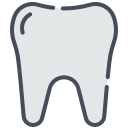 molar icon