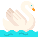 Cisne icon