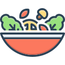 saludable icon