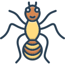 insecto icon