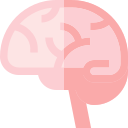 Cerebro icon