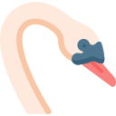 Cisne icon