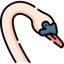 Cisne icon