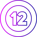 12 icon