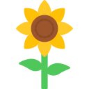 girasol icon