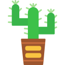 cactus icon