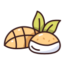 mochi 