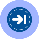 flecha correcta icon