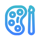 paleta icon