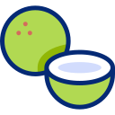 coco icon