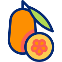 naranja china icon