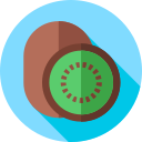 Kiwi icon