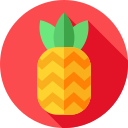 Piña icon