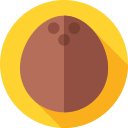 Coco icon