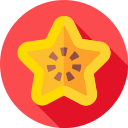 Fruta estrella icon