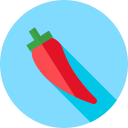 Chile icon