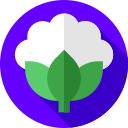 Coliflor icon