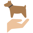 chien 