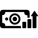 Money icon