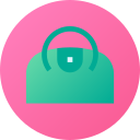 Bolso icon