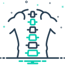 columna vertebral 