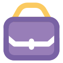 bolsa icon