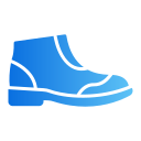 bota icon