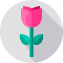 Rosa icon