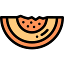 Melón icon