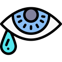 Llorar icon