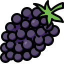 moras icon