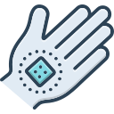 palmera icon