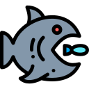 pesce grosso icona