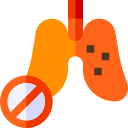 Pulmones icon