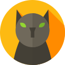 Gato icon