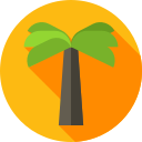 Palmera icon