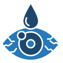 ojo icon