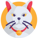 Gato icon