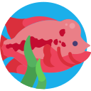 Pescado icon