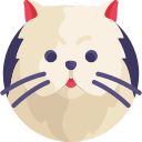 gato persa icon