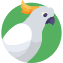 Cacatúa icon