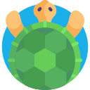 Tortuga icon