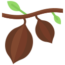 cacao icon