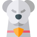 Mascotas icon