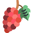 Uvas icon