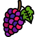 Uvas icon