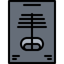 médico icon