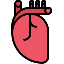 médico icon